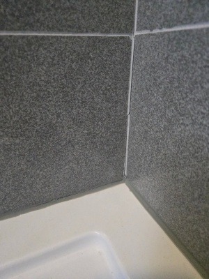 Re Silicone — Before